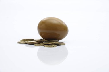 Sikke ve altın yumurta, kavram görüntü iş için tasarruf ve yatırım.