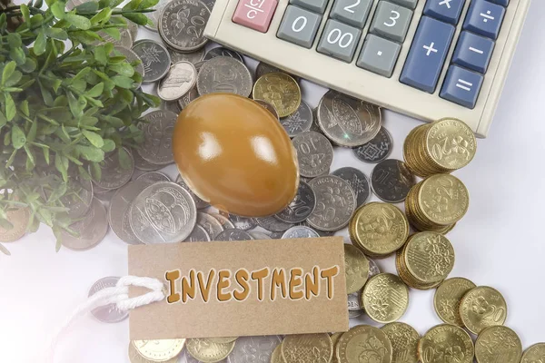 Münzen, goldenes Ei und Taschenrechner mit geschäftlichem Konzepttext. Linsenraketen hinzugefügt. — Stockfoto