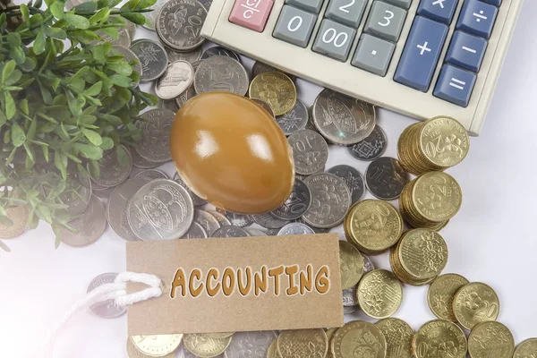 Coins,golden egg and calculator with business conceptual text. Lens flares added. — Stock Photo, Image