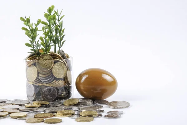 Érmék és arany tojás, koncepció kép részére teendő, megtakarítás és beruházás. — Stock Fotó