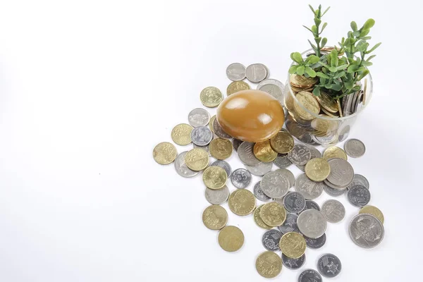 Coins,golden egg and calculator for business conceptual. — Stock Photo, Image