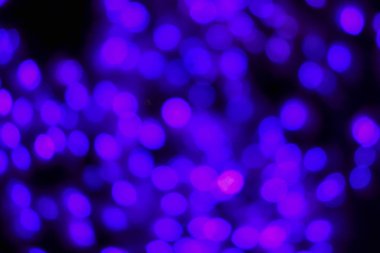 Defocused siyah arka plan üzerinde renkli hafif bulanık bokeh. Arka plan