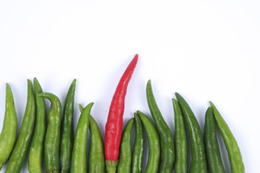 Kırmızı biber üzerine kırmızı biber beyaz arka plan kavramı: farklı, kazanmak, daha iyi