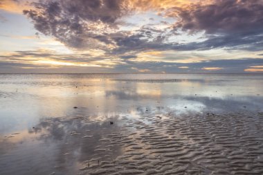 Gün batımında sahilde ölü ağaç. Uzun pozlama fotoğraf