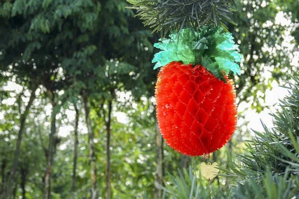 Yeni Yıl Festival Süresince Bahçedeki Çince Fenerler — Stok fotoğraf