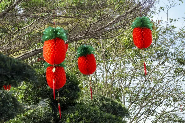 Yeni Yıl Festival Süresince Bahçedeki Çince Fenerler — Stok fotoğraf