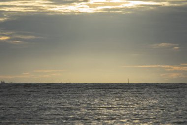 Gün batımında yalnız ağaç, Beach ateşli günbatımı. Doğa kompozisyon ve düşük ışık.