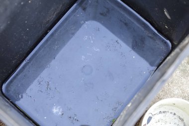 Stagnan çöp konteyner ve potansiyel musquitoes zemin ıslahı için plastik bardak suda. Bulanık resim.