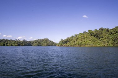 Görünümü, insan yapımı Gölü, Royal Belum güzel yeşil manzarası ve stumped ahşap ile.