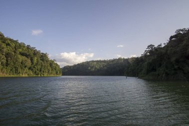 Görünümü, insan yapımı Gölü, Royal Belum güzel yeşil manzarası ve stumped ahşap ile.