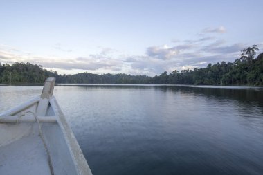 Görünümü, insan yapımı Gölü, Royal Belum güzel yeşil manzarası ve stumped ahşap ile.