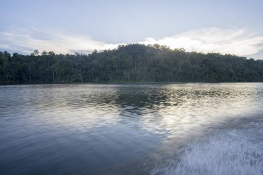 Görünümü, insan yapımı Gölü, Royal Belum güzel yeşil manzarası ve stumped ahşap ile.