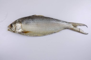 Beyaz izole çiğ çiğ balık