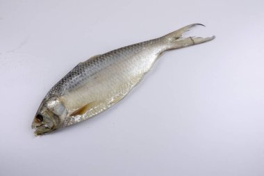 Beyaz izole çiğ çiğ balık