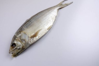 Beyaz izole çiğ çiğ balık