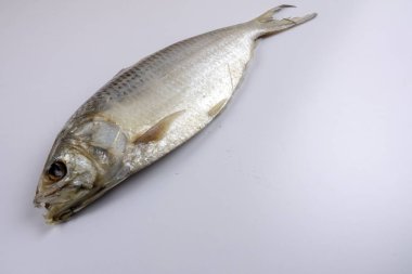Beyaz izole çiğ çiğ balık