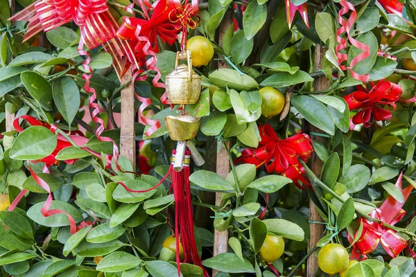 Árbol Decorativo Mandarinas Símbolo Prosperidad Riqueza Salud Del Año Nuevo — Foto de Stock