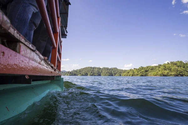 Pohled z umělé jezero z Royal Belum krásné zelené krajiny a pařezy dřevo. — Stock fotografie