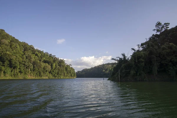 Vue sur le lac artificiel de Royal Belum avec de beaux paysages verts et du bois souches . — Photo