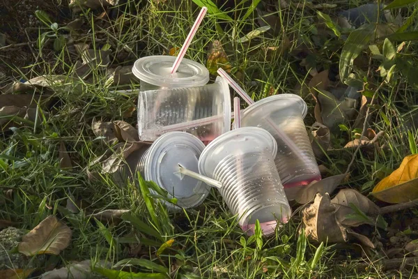 Mal hábito ambiental de eliminación inadecuada de tazas de PVC no biodegradables con paja en el parque público —  Fotos de Stock