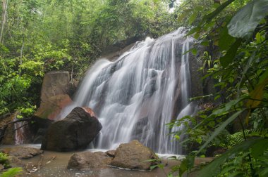 Derin jungle Şelalesi Malezya.