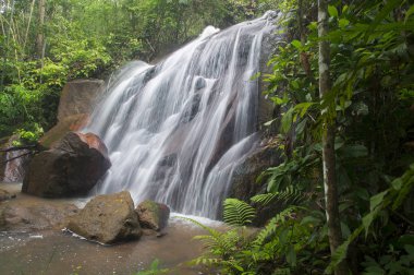 Derin jungle Şelalesi Malezya.