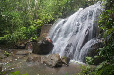 Derin jungle Şelalesi Malezya.