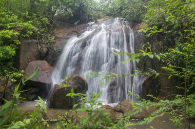 Derin jungle Şelalesi Malezya.