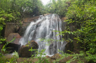 Derin jungle Şelalesi Malezya.