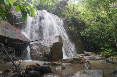 Derin jungle Şelalesi Malezya.