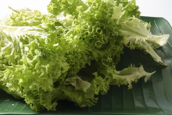 Green lettuce isolated on white. — Stock Photo, Image