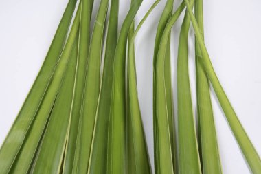 Ketupat yapma, küçük hindistan cevizi yapılan bir doğal pirinç kaplama pirinç pişirme için yaprakları