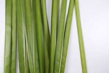 Ketupat yapma, küçük hindistan cevizi yapılan bir doğal pirinç kaplama pirinç pişirme için yaprakları