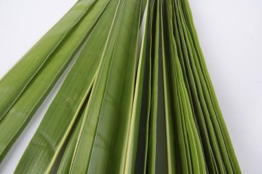 Ketupat yapma, küçük hindistan cevizi yapılan bir doğal pirinç kaplama pirinç pişirme için yaprakları