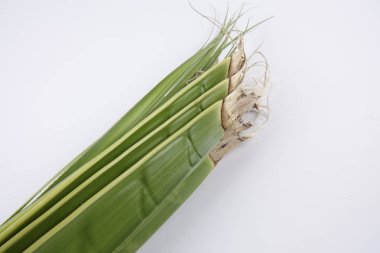 Ketupat yapma, küçük hindistan cevizi yapılan bir doğal pirinç kaplama pirinç pişirme için yaprakları