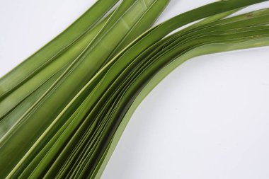 Ketupat yapma, küçük hindistan cevizi yapılan bir doğal pirinç kaplama pirinç pişirme için yaprakları