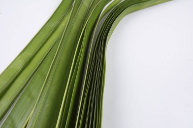 Ketupat yapma, küçük hindistan cevizi yapılan bir doğal pirinç kaplama pirinç pişirme için yaprakları