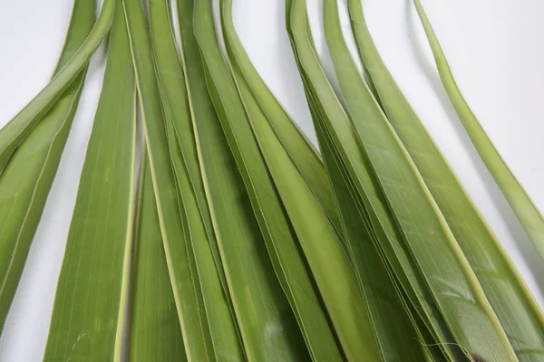 Fabrication de Ketupat, un boyau de riz naturel fabriqué à partir de jeunes feuilles de noix de coco pour la cuisson du riz — Photo