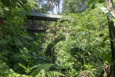 Bali, Endonezya , Nisan 2016. Kaplıca Hava Panas Banjar. Bali Turistik cazibe nokta.