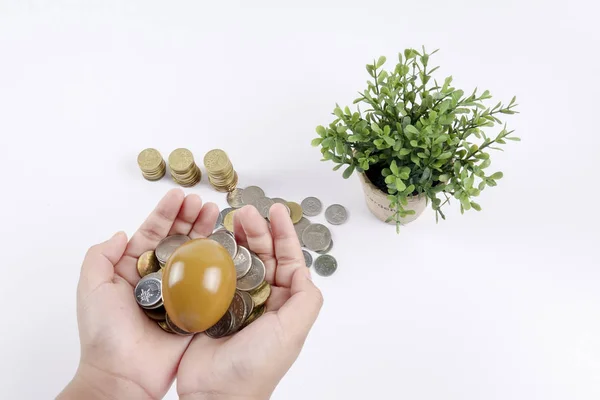 Arany-tojás és érme verem. Üzleti és beruházási koncepció. — Stock Fotó