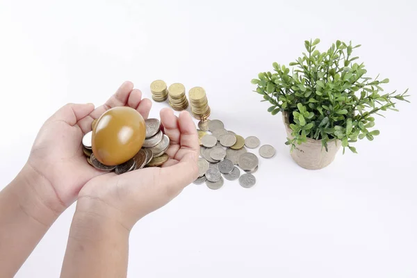Gouden ei en stack van munt. Concept van bedrijven en investeringen. — Stockfoto