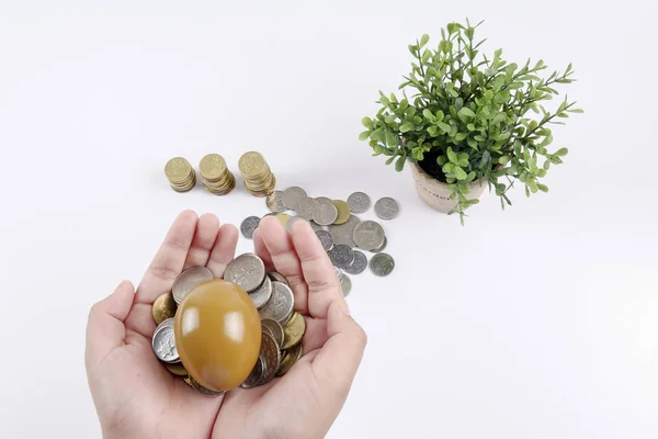 Arany-tojás és érme verem. Üzleti és beruházási koncepció. — Stock Fotó