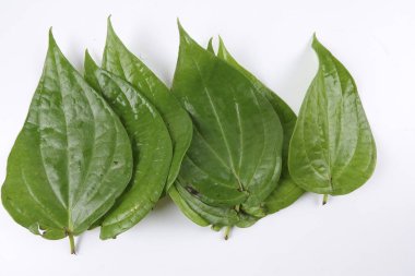 Hindistan tembul yaprak