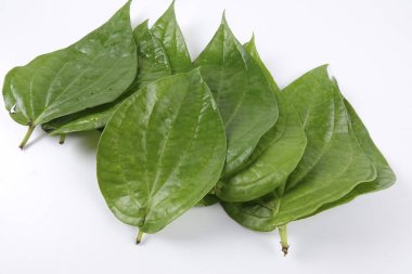 Hindistan tembul yaprak