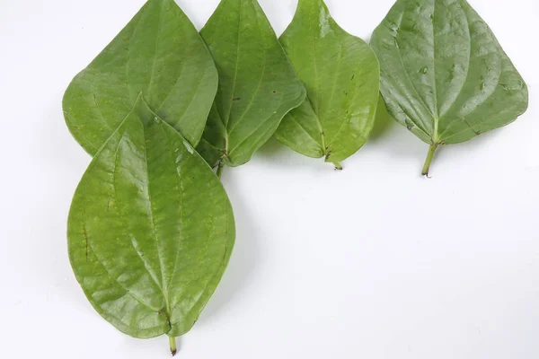Betel leaf of Indian subcontinent