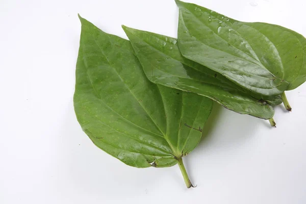 Betel leaf of Indian subcontinent