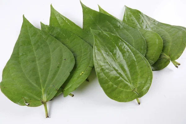 인도 아 대륙의 구장 잎 — 스톡 사진