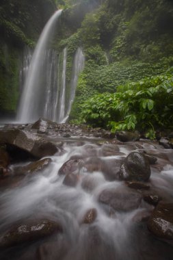 Hava Terjun Tiu Kelep Şelalesi, Senaru, Lombok, Endonezya, Güneydoğu Asya