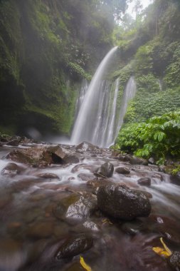 Hava Terjun Tiu Kelep Şelalesi, Senaru, Lombok, Endonezya, Güneydoğu Asya