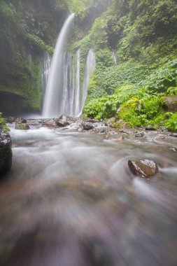 Hava Terjun Tiu Kelep Şelalesi, Senaru, Lombok, Endonezya, Güneydoğu Asya